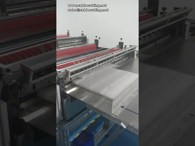 Automatische snijmachine voor noppenfolie en verpakkingsfolie - snelle en precieze sneden