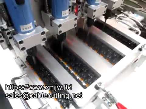 Automatische Schroefmachine voor Desktop - Dubbele en Meerdere Koppen Precisie